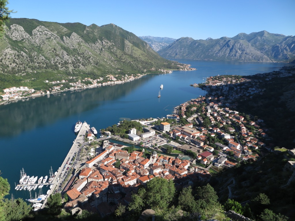 Kotor